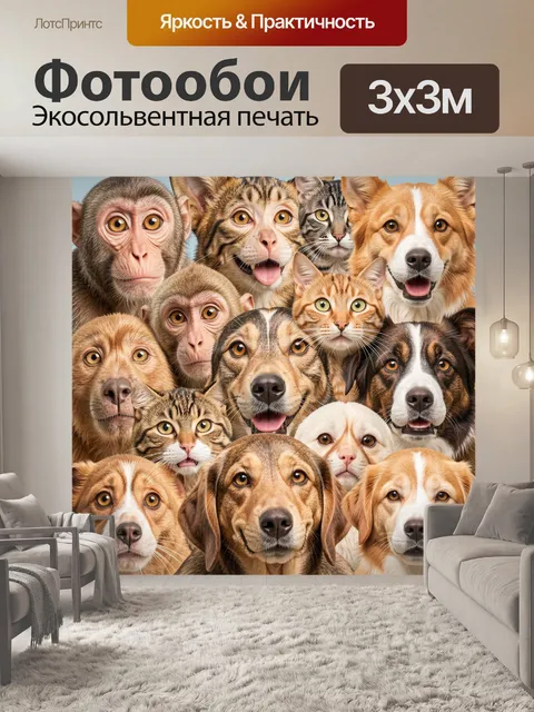 Фотообои Забавные мордочки кошек собак и обезьян
