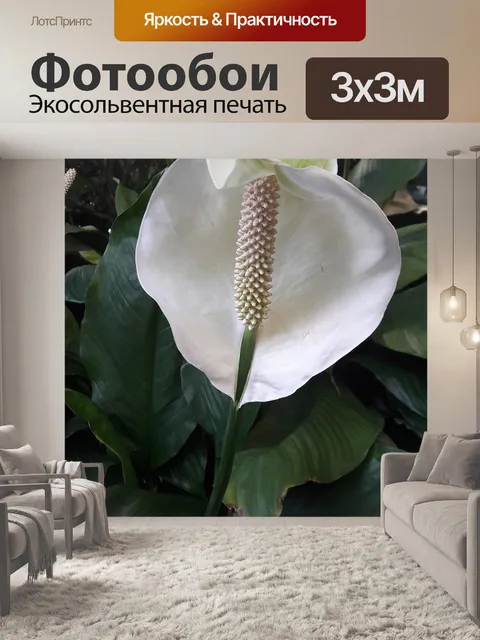 Фотообои Цветок