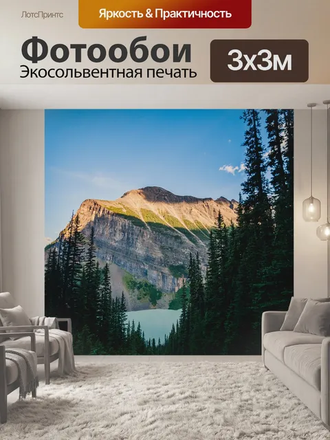 Фотообои Хвойное дерево