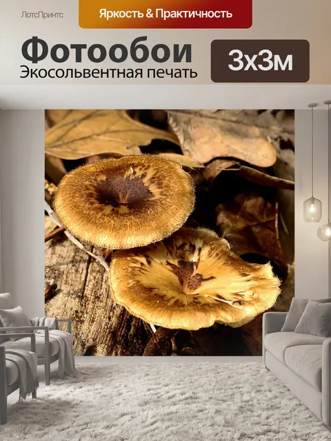 Фотообои Два коричневых гриба в листьях