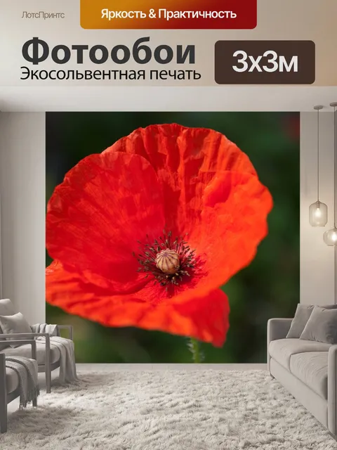 Фотообои Мак