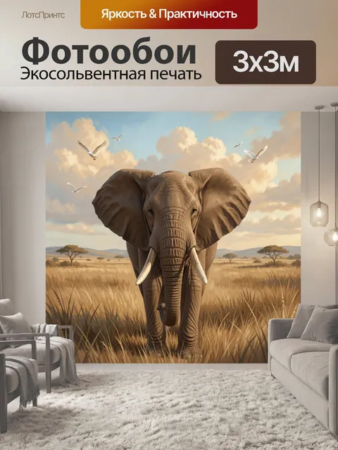 Фотообои Африканский слон в саванне
