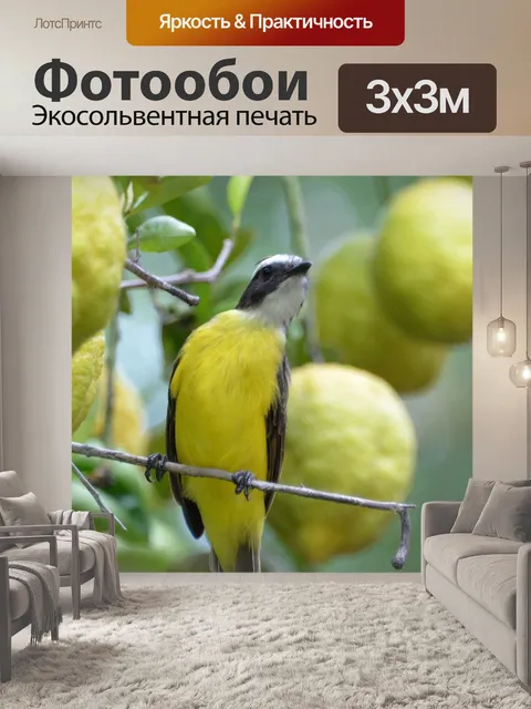 Фотообои Знал