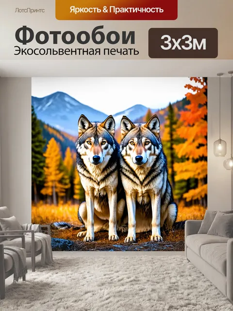Фотообои Два волка на переднем плане, сидящие рядом друг с другом, с ярко выраженной шерстью и проницательными глазами
