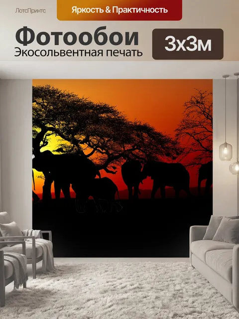 Фотообои Заход солнца