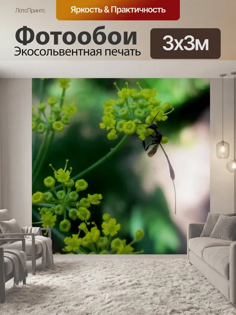 Фотообои оса на фенхеля цветов