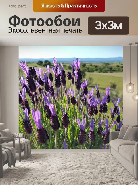 Фотообои Лаванда
