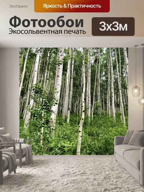 Фотообои Березы