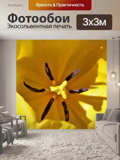 Фотообои Желтый тюльпан макро