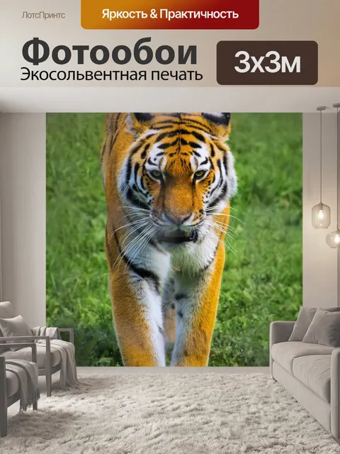 Фотообои Тигр