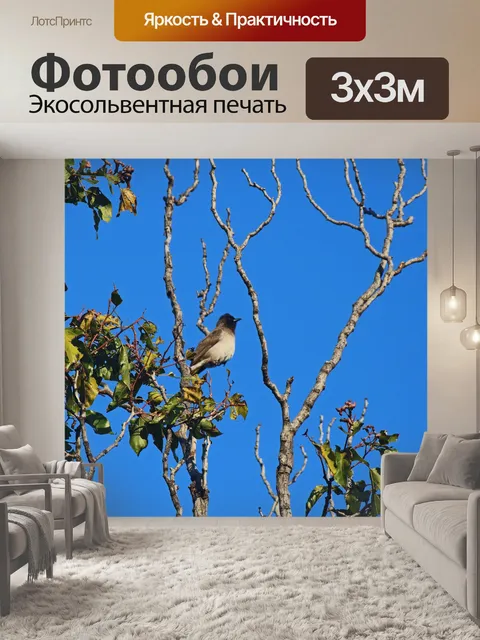 Фотообои Черноглазая птица Бюльбюль на дереве