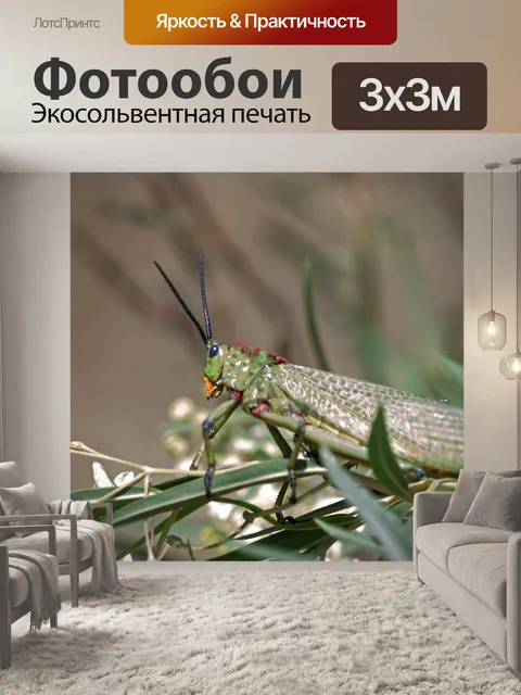Фотообои зеленый кузнечик на зеленых листьях