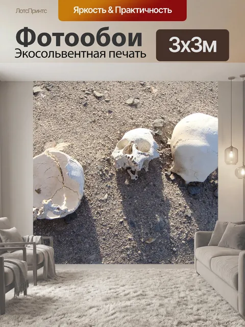 Фотообои Черепа