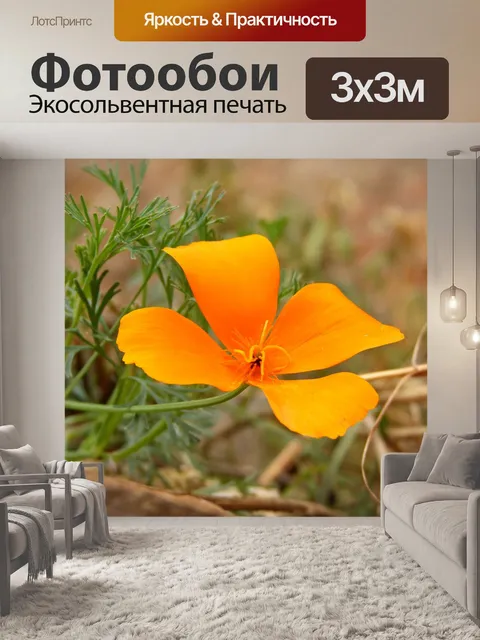Фотообои Калифорнийский мак