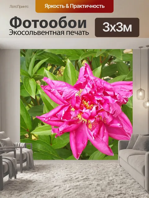 Фотообои Цветок
