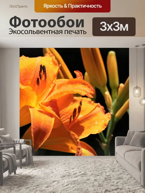 Фотообои Оранжевый день лилии крупным планом
