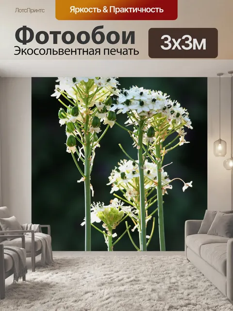 Фотообои белые цветы на длинных стеблях