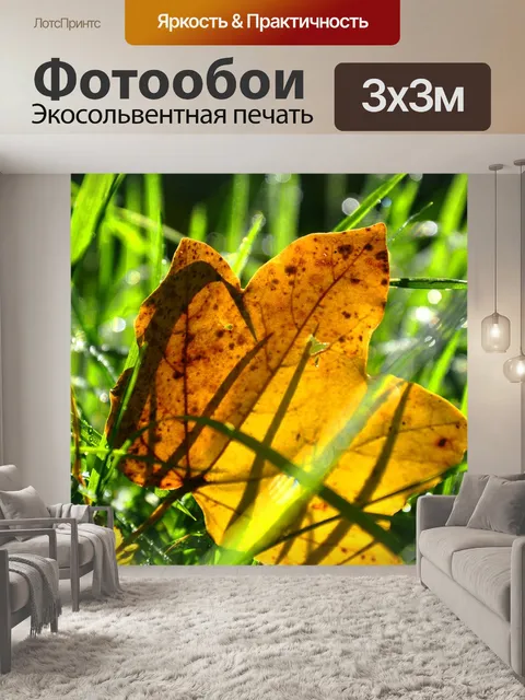 Фотообои Лес