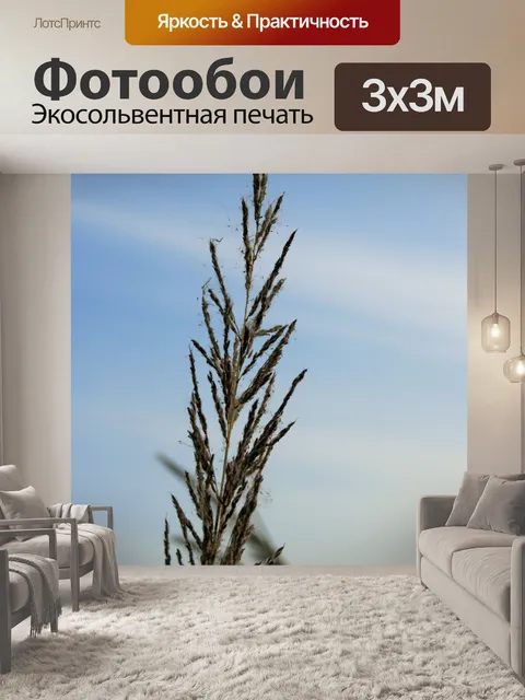 Фотообои Дикая трава с тонкими отростками