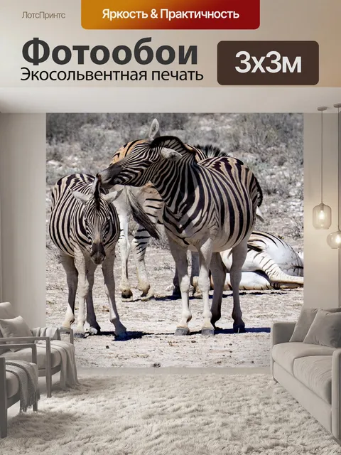Фотообои Зебры
