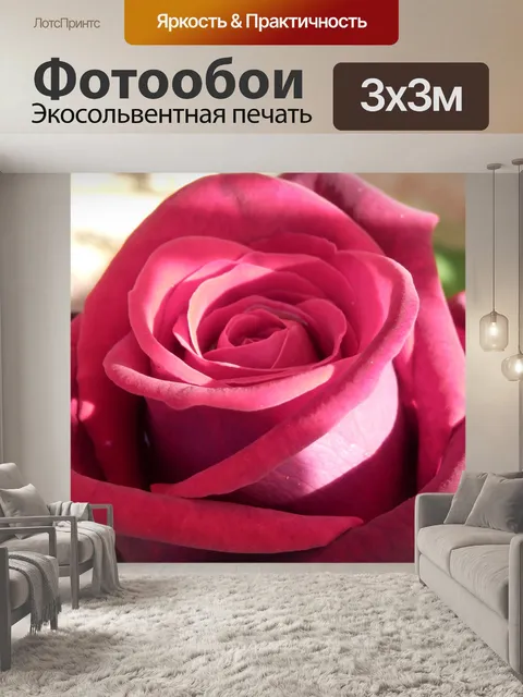 Фотообои Красная Роза