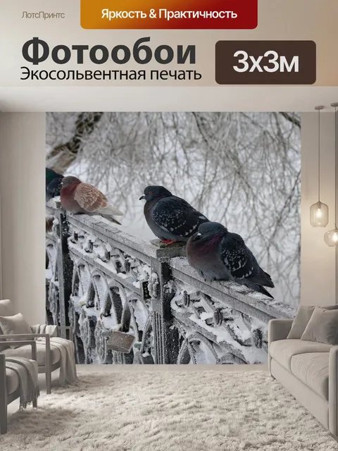 Фотообои Голуби