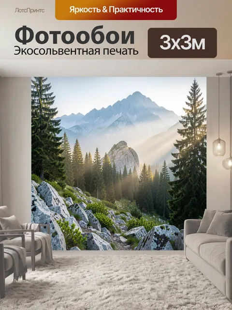 300 × 300 см · Экосольвентная печать