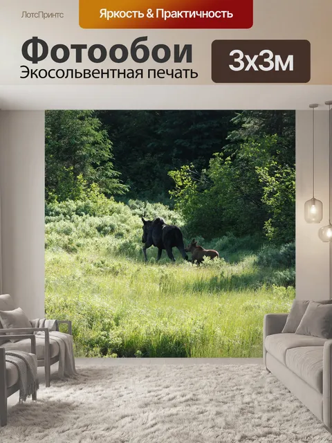 Фотообои Лось
