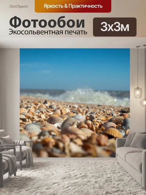 Фотообои Море, азовское море, ракушки