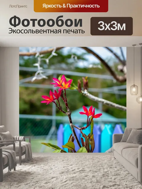 Фотообои Сент-винсент и гренадины