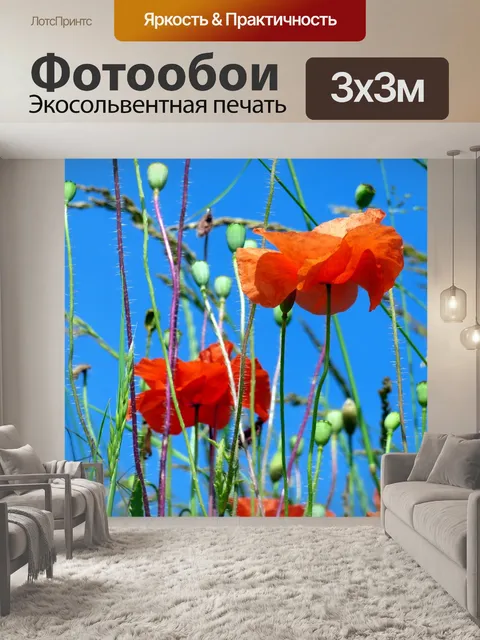 Фотообои Небо