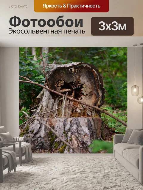 Фотообои Дерево