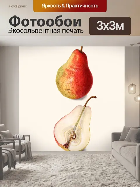 Фотообои Плоды груши винтажные