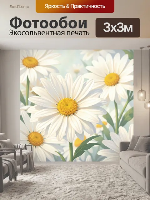 Фотообои Белые ромашки в мягком свете