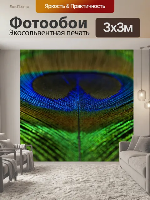 Фотообои Павлинье перо перо цвета красочные