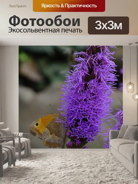 Фотообои Бабочка