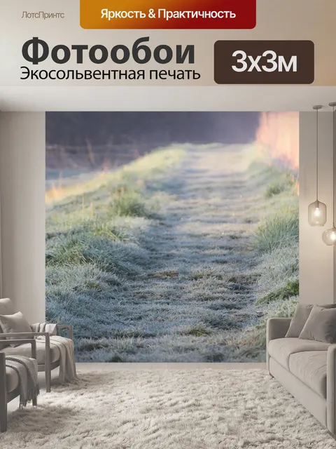 Фотообои Мороз