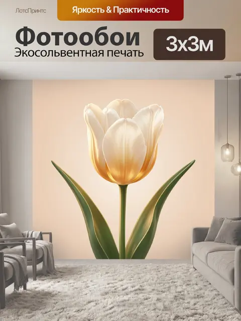 Фотообои Нежный белый тюльпан