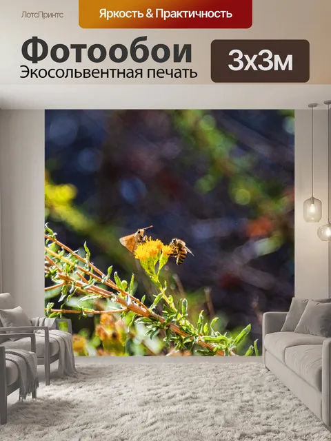Фотообои Месяц и пчела на цветках