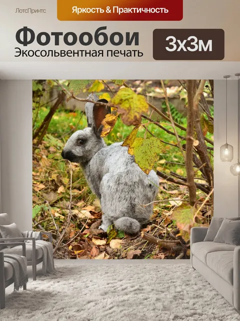 Фотообои Кролик