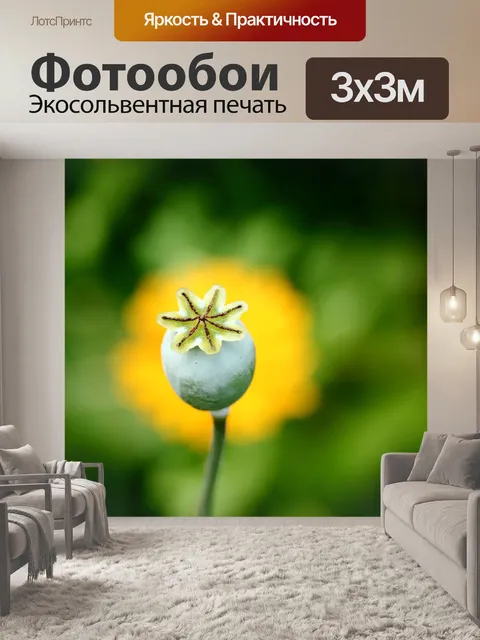 Фотообои Маки
