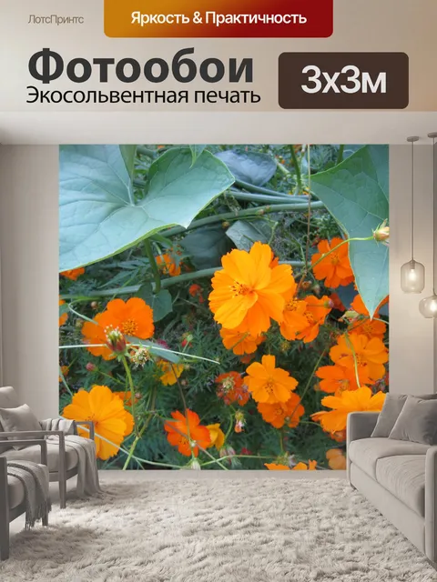 Фотообои крупные листья сквош и космос