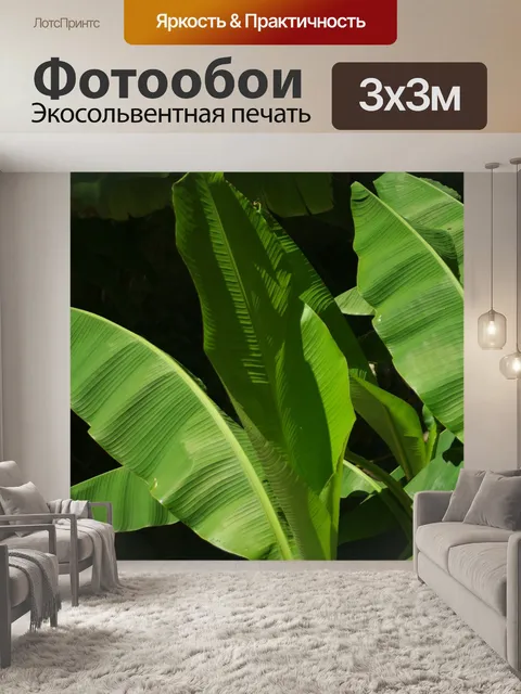 Фотообои Банановых листьев