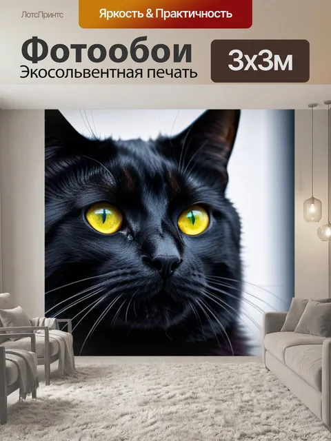 Фотообои с черным котом крутой