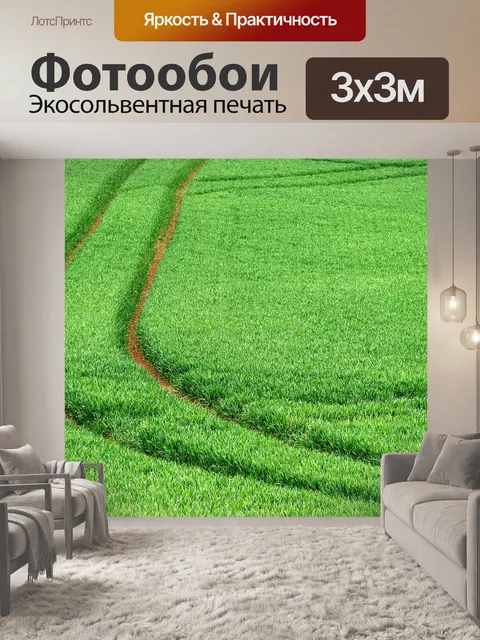 Фотообои Wheat