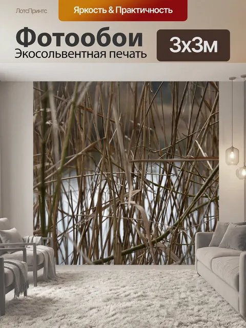 Фотообои Озеро