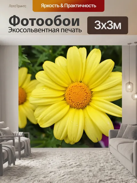 Фотообои Расцветает