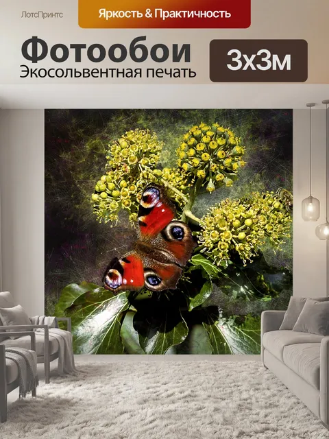 Фотообои Бабочка павлиний