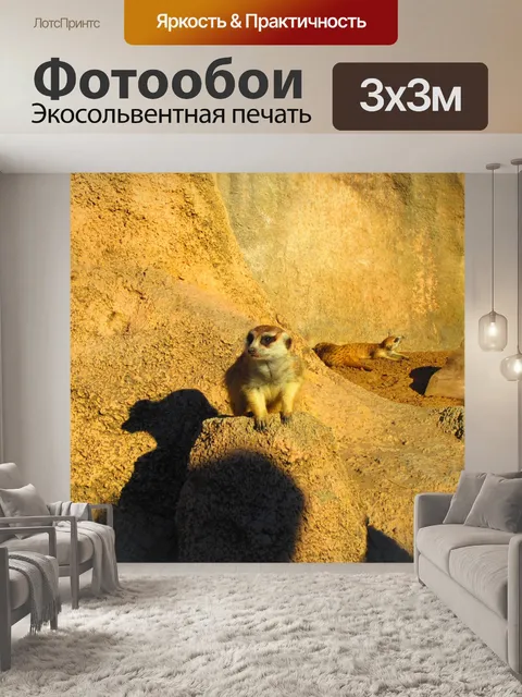 Фотообои Животные
