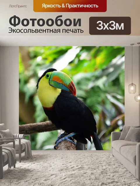Фотообои Тукан